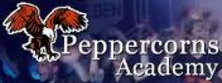 Peppercorns Music Academy